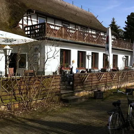 Strandnest